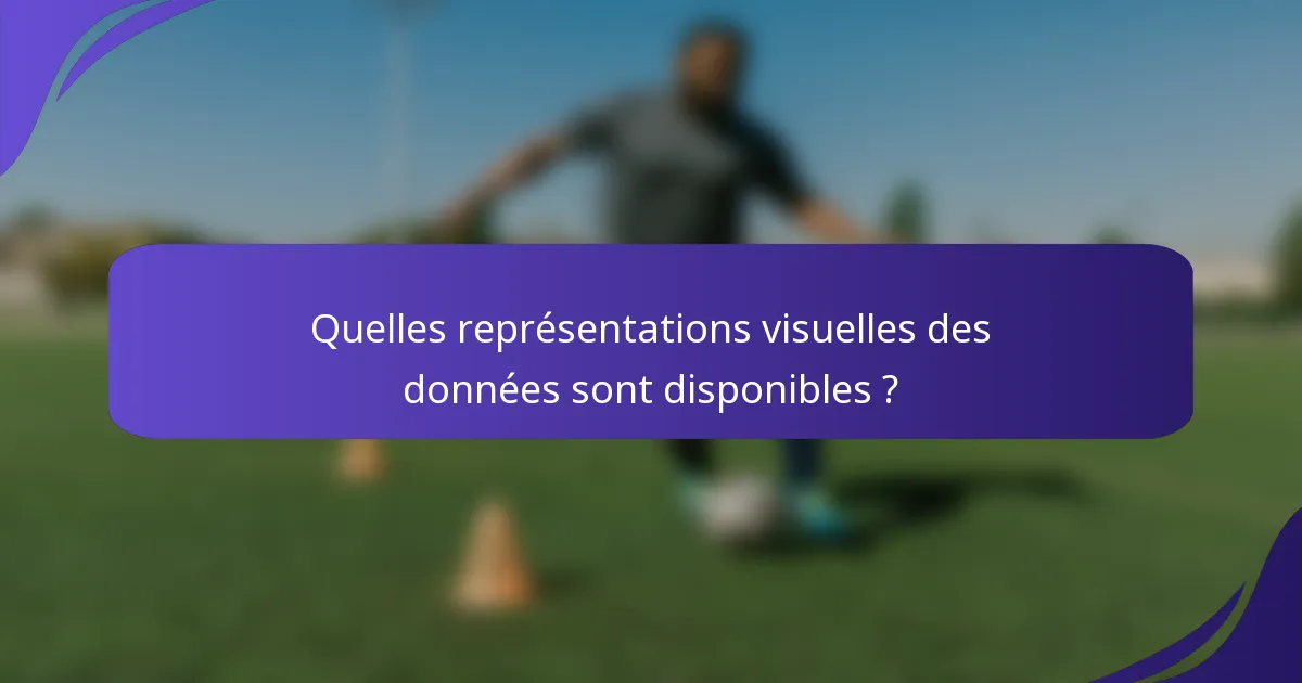 Quelles représentations visuelles des données sont disponibles ?